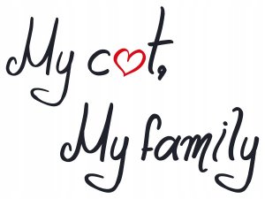 Ontario Cat Hair & Skin 2kg (Kailiui ir odai) 6