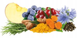 Ontario Cat Hair & Skin 2kg (Kailiui ir odai) 10