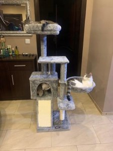 DRAPAK DLA KOTA DUŻY 4 POZIOMY WYSOKI LEGOWISKO WIEŻA SŁUPEK DOMEK 135cm 13