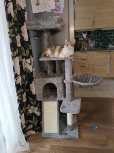 DRAPAK DLA KOTA DUŻY 4 POZIOMY WYSOKI LEGOWISKO WIEŻA SŁUPEK DOMEK 135cm 14