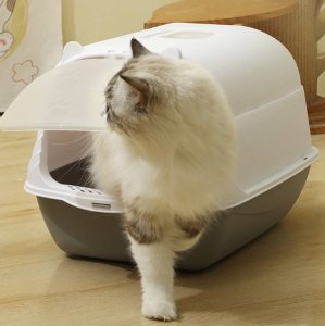 Kuweta dla kota z filtrem węglowym zamknięta toaleta dla kotów z drzwiami 3