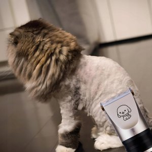 Extralink Pets | Maszynka do strzyżenia psów i kotów | bezprzewodowa z 4 końcówkami grzebień nożyczki pilnik 3