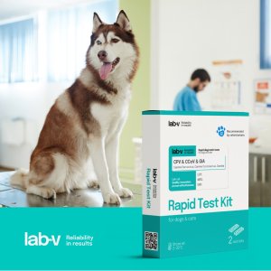 Lab-V Antygen CPV & CCV & GIA  Szybki test diagnostyczny dla psów 2 szt. 3
