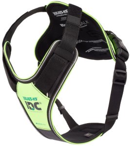Julius-K9 K9 IDC Longwalk sele - neon-grå, XL 1