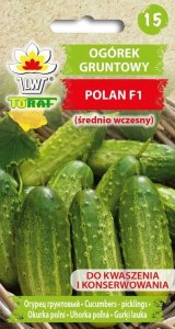 Toraf PNOS Nasiona na taśmie | Ogórek Polan F1 | Taśma 6m 7