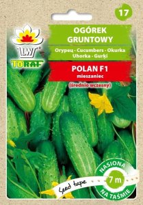 Toraf PNOS Nasiona na taśmie | Ogórek Polan F1 | Taśma 6m 8