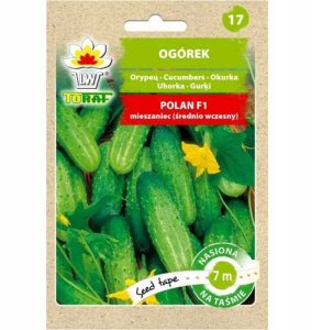 Toraf PNOS Nasiona na taśmie | Ogórek Polan F1 | Taśma 6m 9