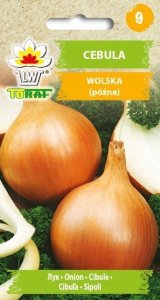 Toraf Nasiona warzyw | Cebula Wolska | Opakowanie 5g 5