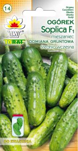 Toraf Nasiona warzyw | Ogórek Soplica F1 | Opakowanie 5g 2