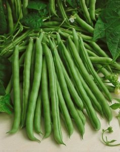 Toraf TORAF FASOLA SZPARAGOWA KARŁ. ZIELONOSTR. FERRARI PHASEOLUS VULGARIS L. [30 G] 8