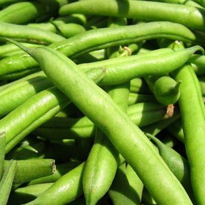 Toraf TORAF FASOLA SZPARAGOWA KARŁ. ZIELONOSTR. FERRARI PHASEOLUS VULGARIS L. [30 G] 9