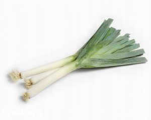 Toraf Nasiona warzyw | Por Blauwgroene Winter Alaska | Opakowanie 1g 3