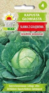 TORAF KAPUSTA GŁOW. BIAŁA SŁAWA Z GOŁĘBIEWA BRASSICA OLERACEA L. [2 G] 1