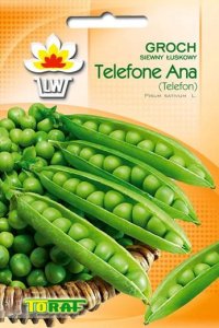 Toraf Nasiona warzyw | Rzodkiewka Saxa 3 | Opakowanie 10g 10
