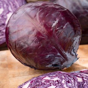 TORAF KAPUSTA GŁOW. CZERWONA MARS BRASSICA OLERACEA L. [1 G] 1