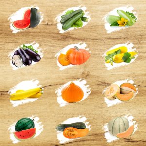 TORAF ZESTAW NASION SYMFONIA SMAKÓW - 12 OPAKOWAŃ 6