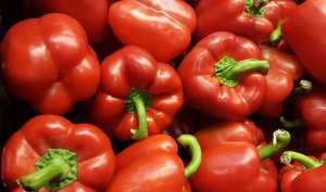 TORAF PAPRYKA CALIFORNIA WONDER CAPSICUM ANNUUM L. [0,5 G] 8