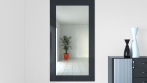 Fischer Kołek SX Plus Green 6x30 S 6