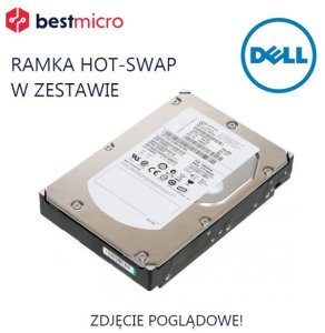 HP DYSK TWARDY TWARDY HDD SAS 146Gb 2.5" 6Gb/s do G8-G10 Servers - EH0146FCBVB-G8 - Refabrykowany 1