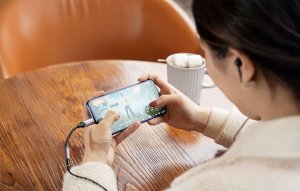 Kabel Vention Jack 3.5mm - Jack 3.5mm 0.1m szary (BGMHA) 8