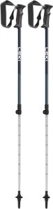 LEKI KIJE RENTAL Classic Jr. 653 100 1