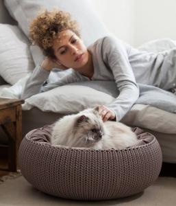 Curver Legowisko dla zwierząt Knit beżowe 4