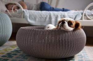 Curver Legowisko dla zwierząt Knit beżowe 6