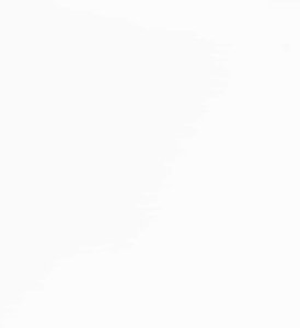 vidaXL Krzesła do jadalni z poduszkami 2 szt. Białe lite drewno gumowe 9