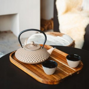 Bredemeijer Teekanne Xilin 1,25l żeliwo camel 153092 7