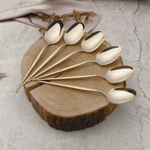 SZTUĆCE 24 ELEM. BERLINGER HAUS BH-3067 POŁYSK CHAMPAGNE 5