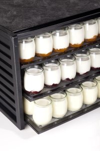 Dehydrator Excalibur 4900 4