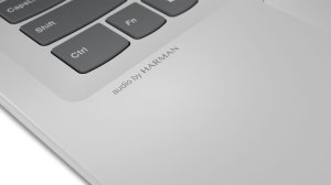 Laptop Lenovo IdeaPad 320S-14IKB (80X400A1PB) 11