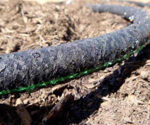 Wąż nawadniający kroplujący 1/2" 50m (2) 5