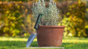 Bosch lopatka z ušlechtilé oceli 10