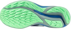 Męskie buty do biegania MIZUNO WAVE RIDER TT 2  (J1GC243251) 42.5 5