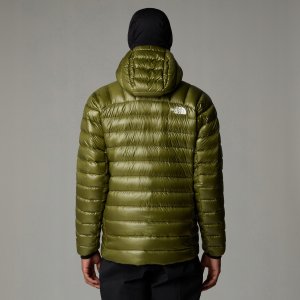 Kurtka summit breithorn hoodie-forest olive-l THE NORTH FACE 3