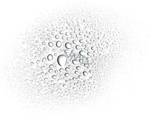 Payot, Neroli D'ete, Fragrance Water, 100 ml For Women 2