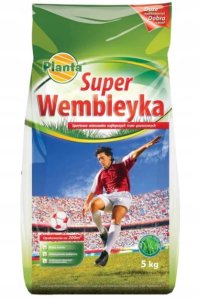 Trawa boiskowa Super Wembleyka 5 kg Na tereny intensywnie użytkowane 2