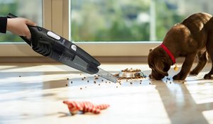 PIONOWY RĘCZNY ODKURZACZ PRZEWODOWY CYKLONOWY 2W1 HEPA MOCNY 800W 16000PA 11