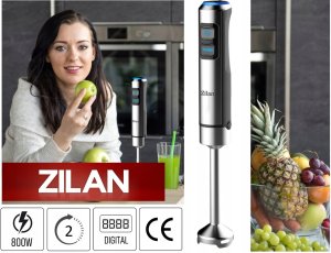 BLENDER RĘCZNY 850W TURBO STAL INOX 15