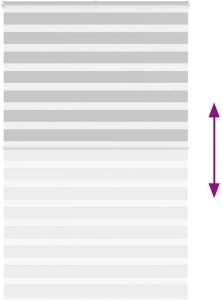 vidaXL Roleta zebra, jasnoszara, szerokość tkaniny 135,9cm, poliester 5