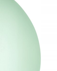 Beliani Lustro ścienne BOUCHON 80 cm 80 cm Zielony 4