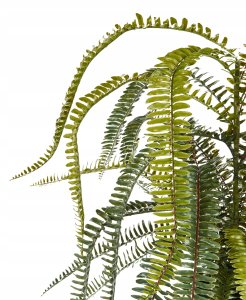 Beliani Sztuczna roślina doniczkowa 105 cm FERN LEAF PLANT 3