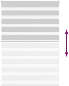 vidaXL Roleta zebra, jasnoszara, szerokość tkaniny 100,9cm, poliester 5