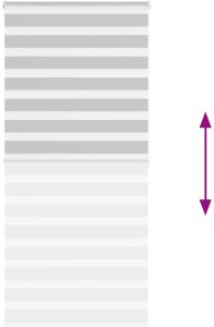 vidaXL Roleta zebra, jasnoszara, szerokość tkaniny 110,9cm, poliester 5