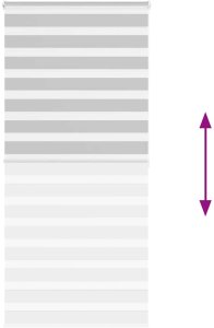 vidaXL Roleta zebra, jasnoszara, szerokość tkaniny 100,9cm, poliester 5