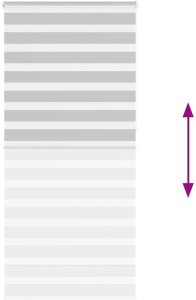 vidaXL Roleta zebra, jasnoszara, szerokość tkaniny 90,9 cm, poliester 5