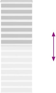 vidaXL Roleta zebra, jasnoszara, szerokość tkaniny 70,9 cm, poliester 5