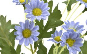 Margaretka Kwiat sztuczny 54 cm mix kolorów 2