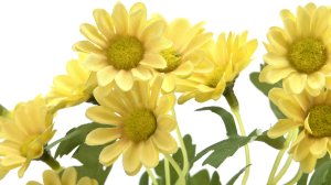 Margaretka Kwiat sztuczny 54 cm mix kolorów 6